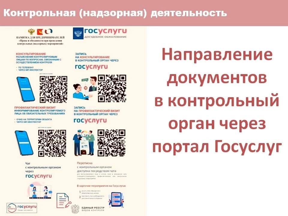 Контрольная (надзорная) деятельность.
