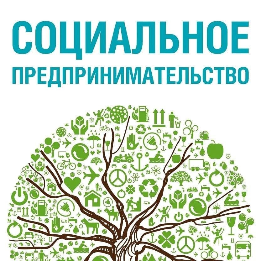 Более 85 субъектов МСП Вологодской области уже получили статус «социального предприятия», отправив документы через Госуслуги.