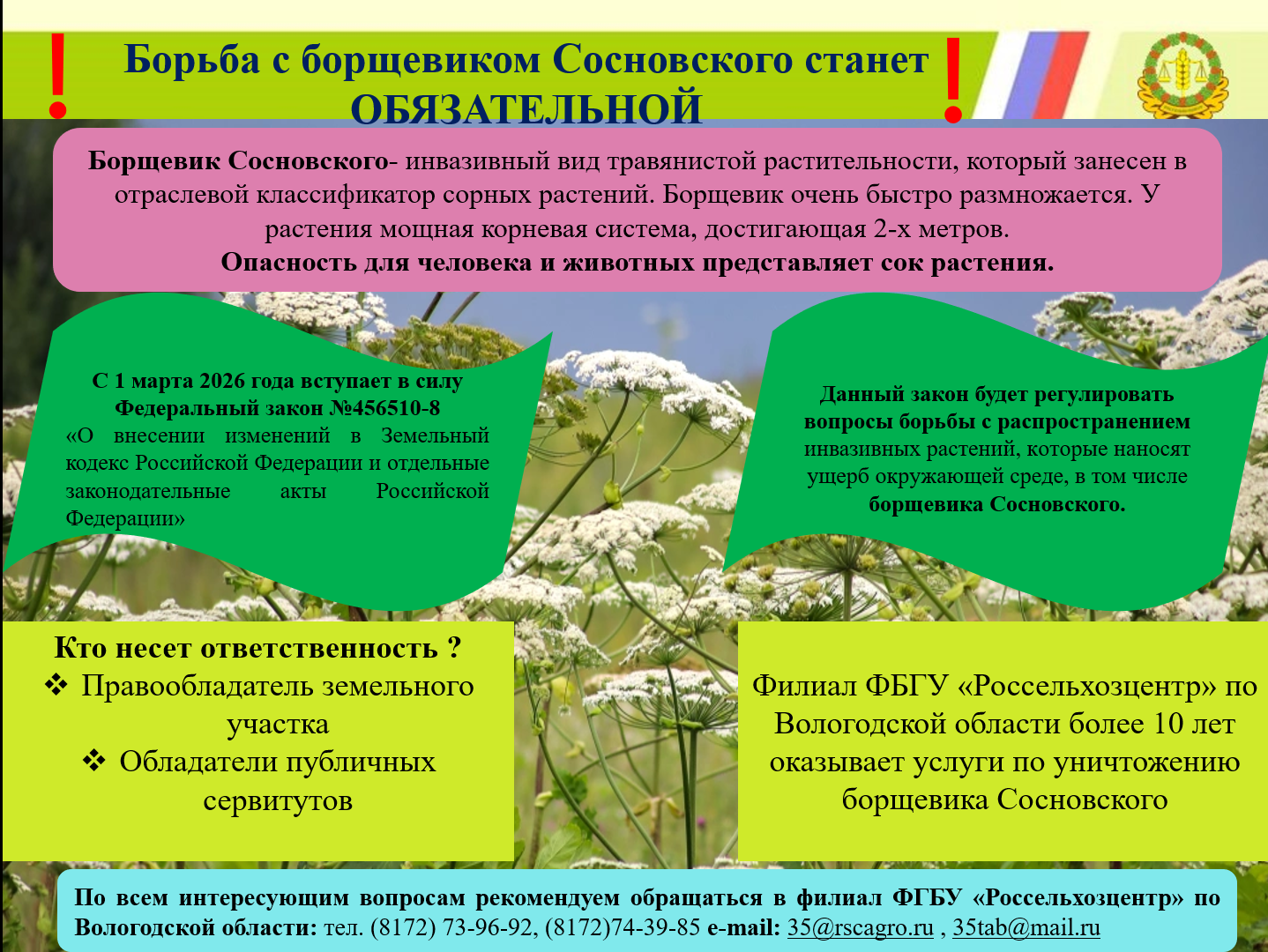 Борьба с борщевиком Сосновского станет ОБЯЗАТЕЛЬНОЙ.